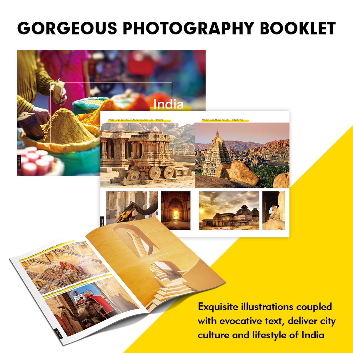 NatGeo Taj Mahal DS0981