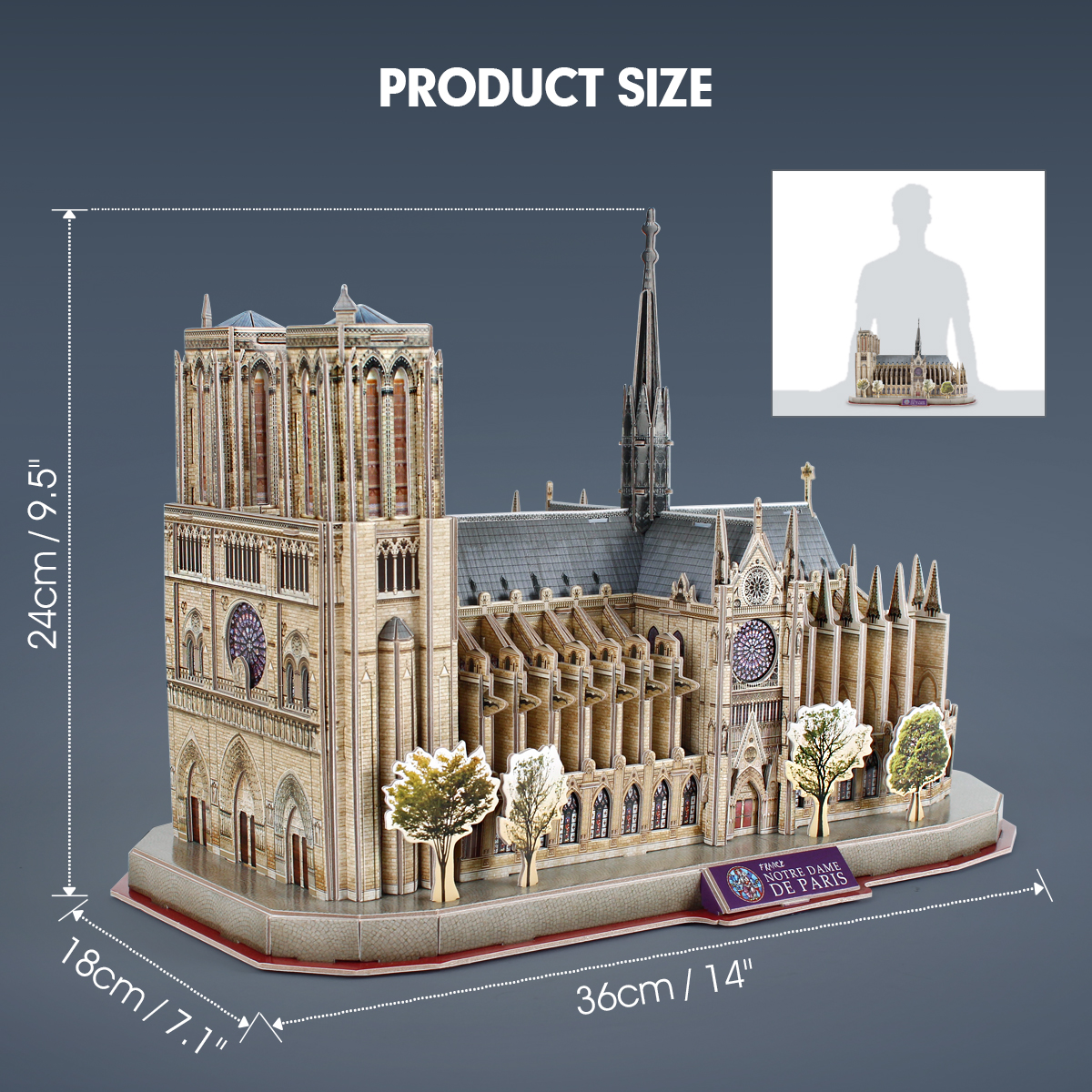 NatGeo Notre Dame De Paris