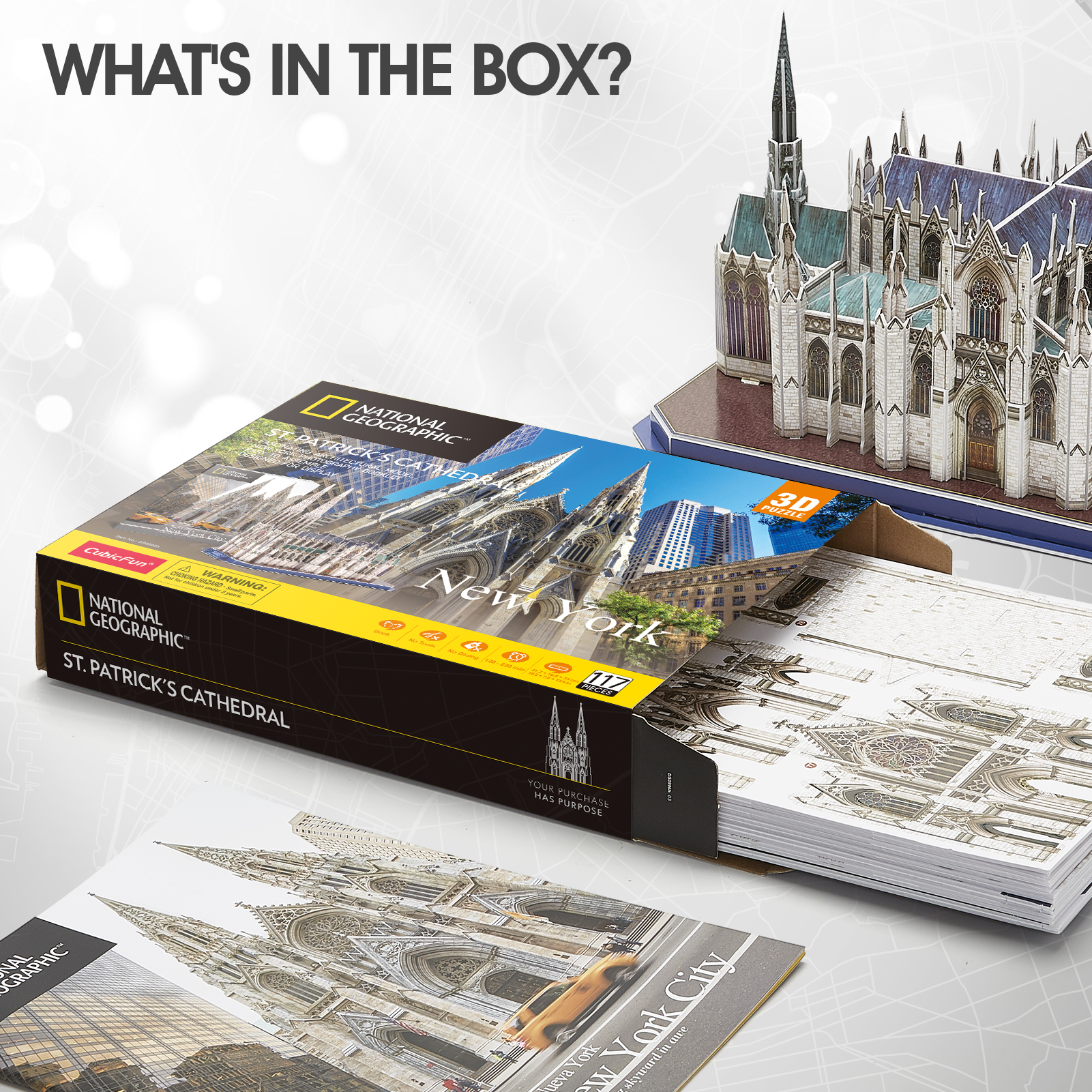NatGeo St.Patrick's Cathedral DS0996h