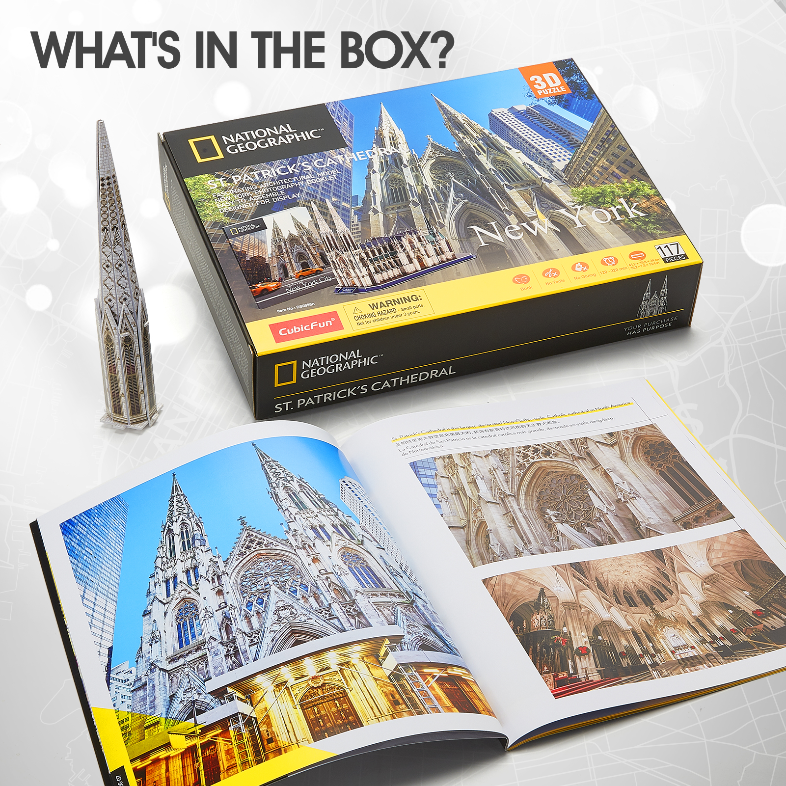 NatGeo St.Patrick's Cathedral DS0996h