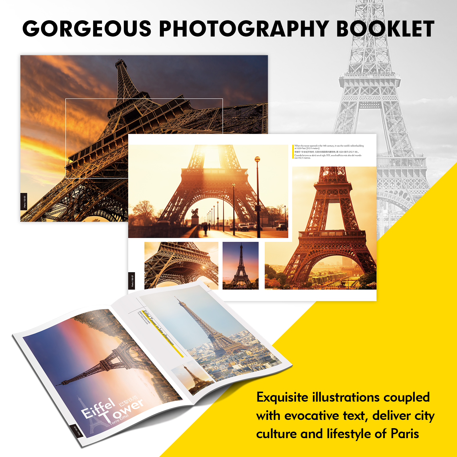 NatGeo Eiffel Tower NatGeo Eiffel Tower DS0998h