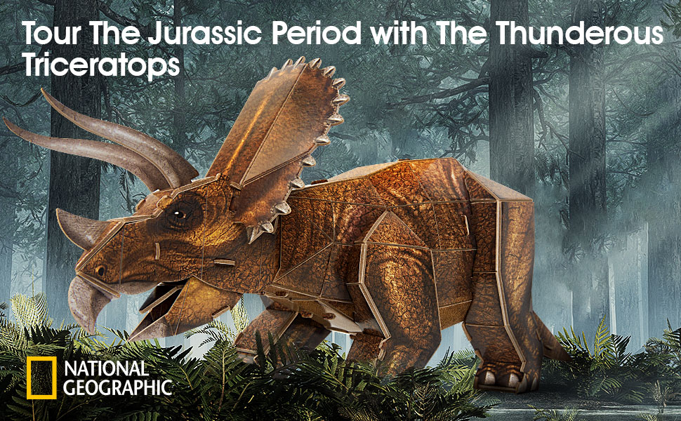 NatGeo Triceratops DS1052