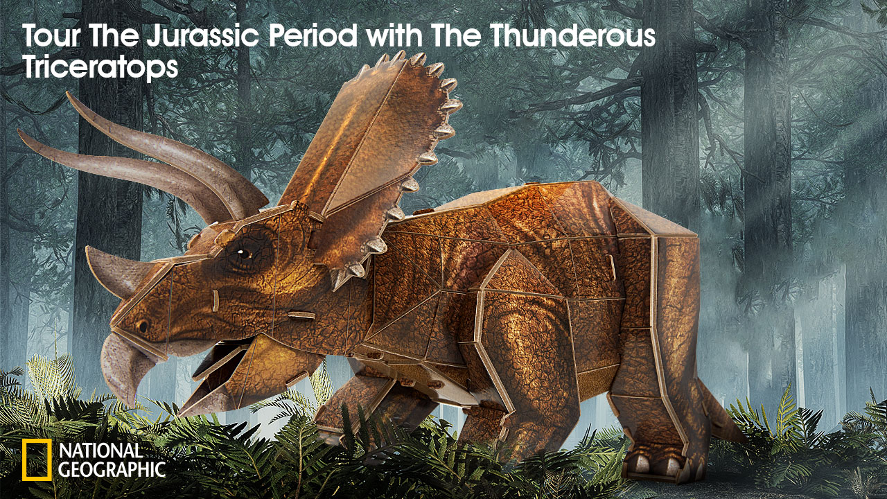 NatGeo Triceratops DS1052