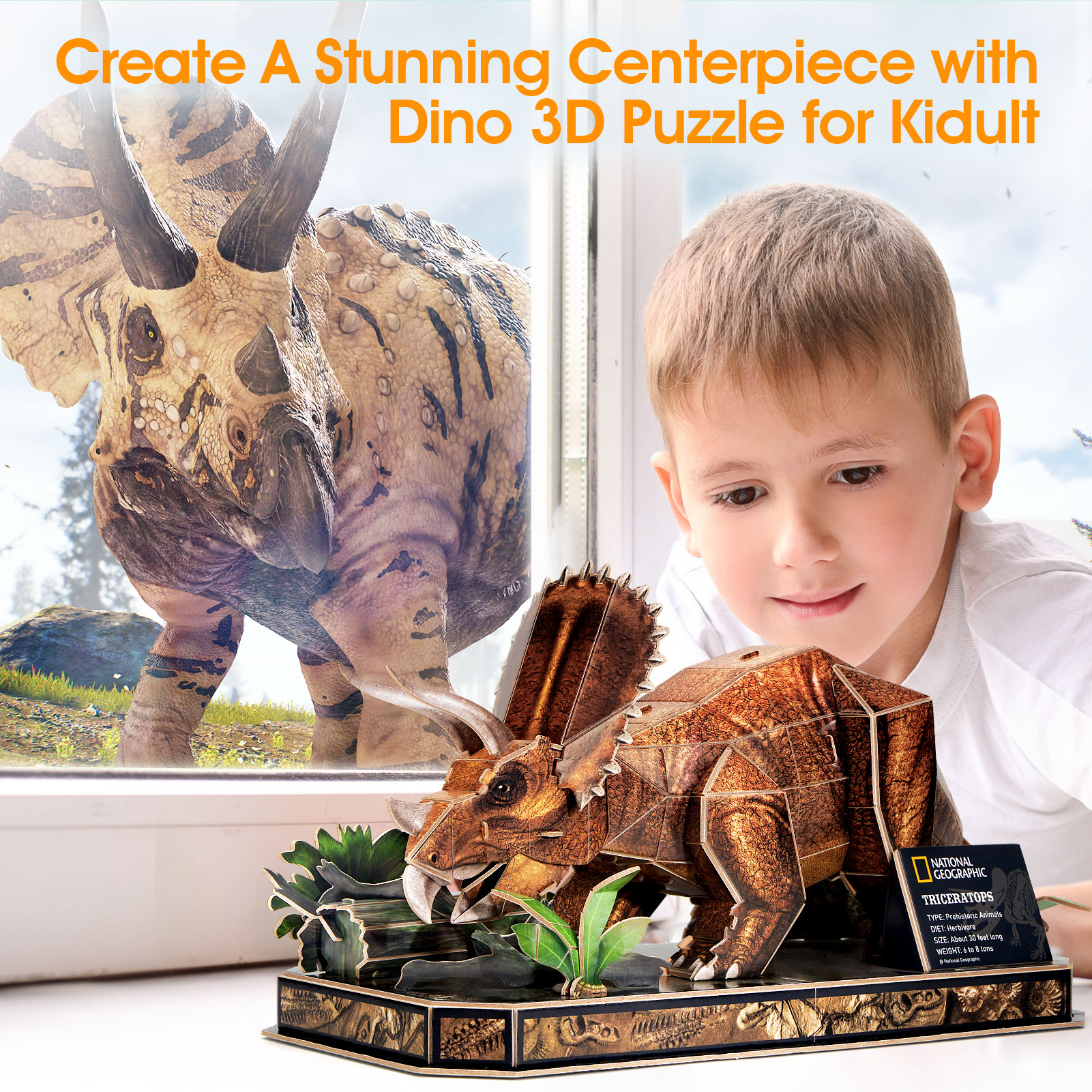 NatGeo Triceratops DS1052