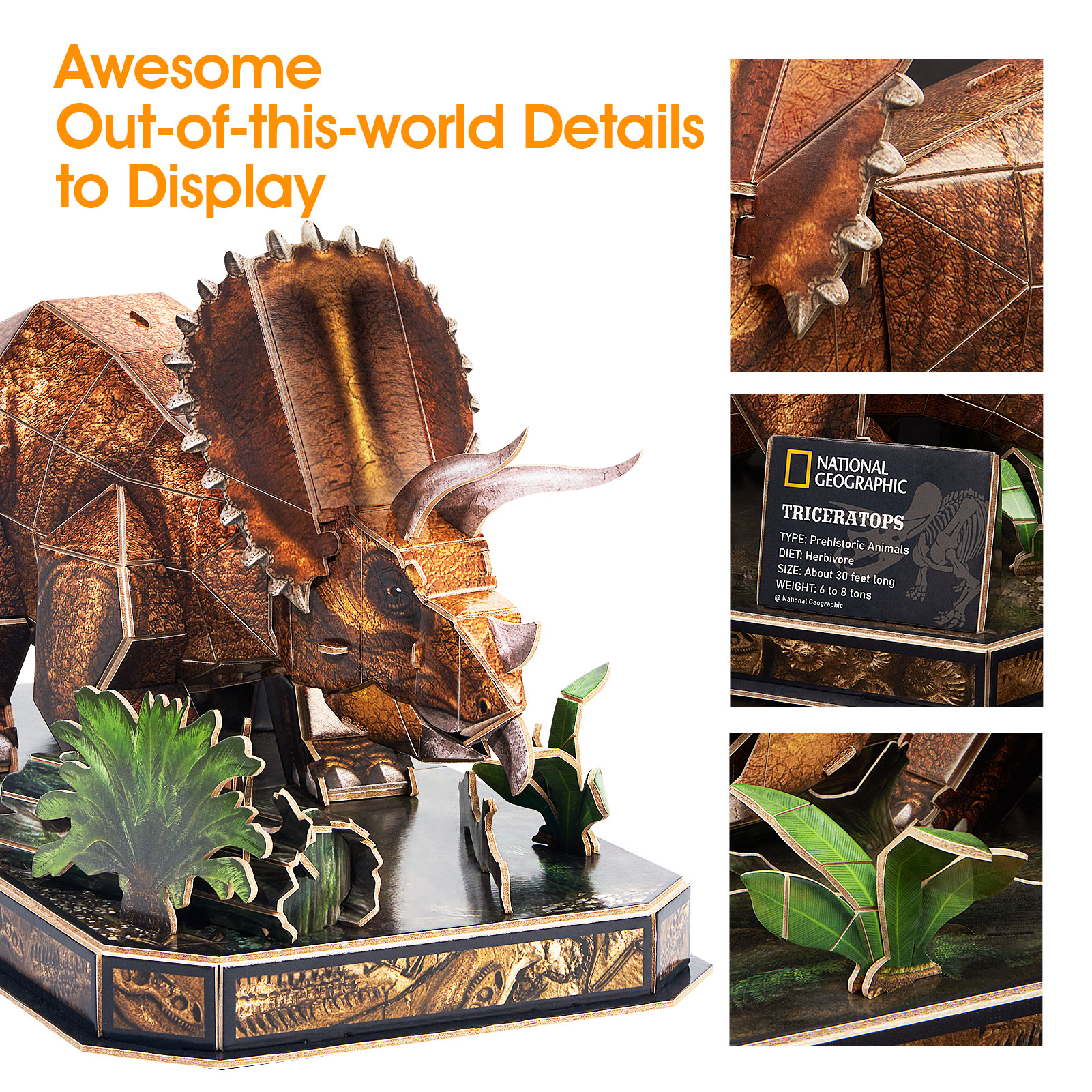 NatGeo Triceratops DS1052