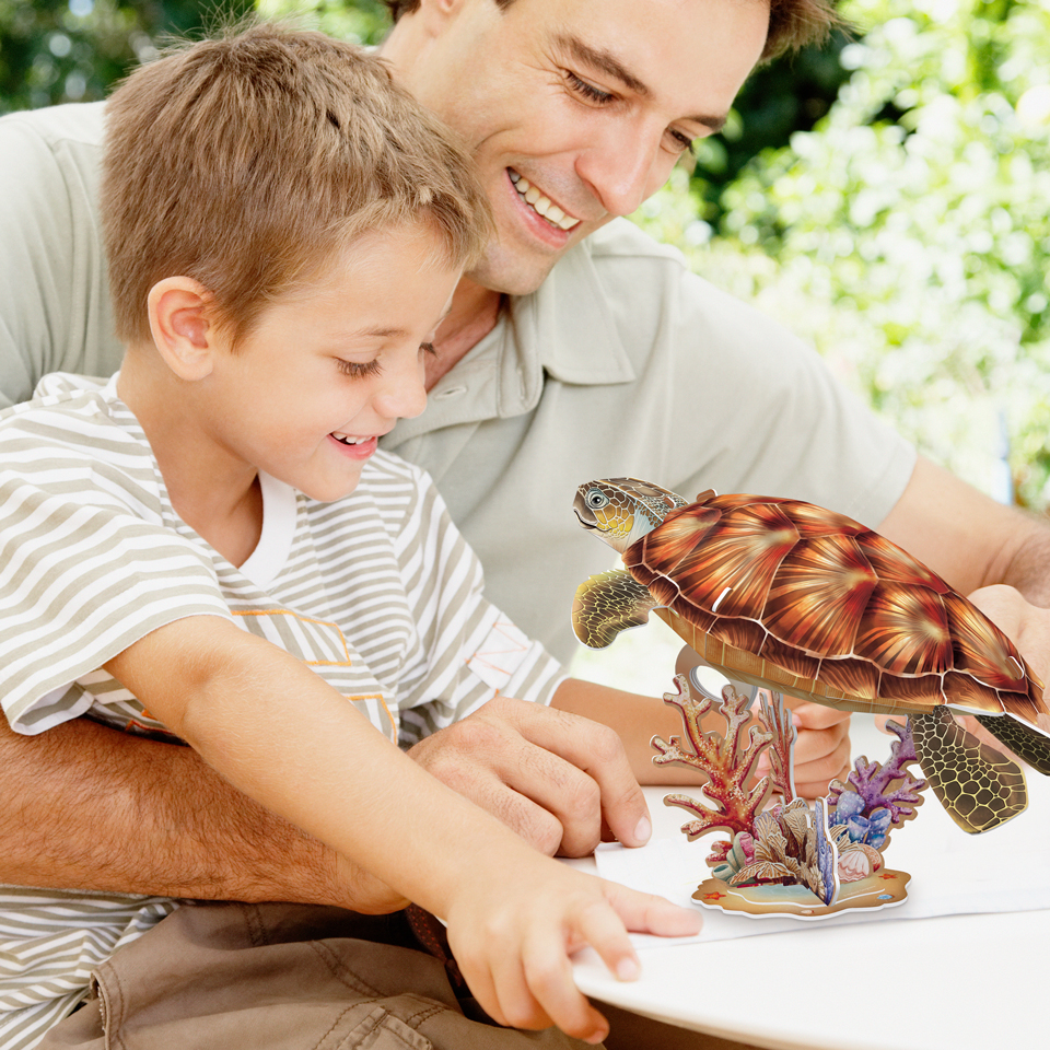 NatGeo Sea Turtle DS1080h